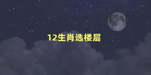 12生肖选楼层