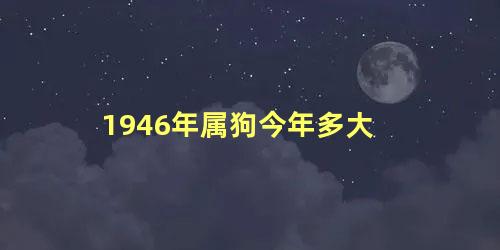 1946年属狗今年多大