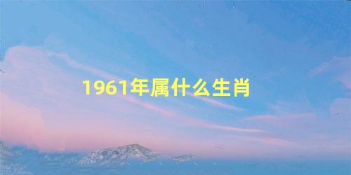 1961年属什么生肖