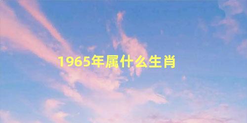 1965年属什么生肖