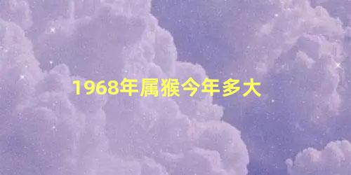 1968年属猴今年多大