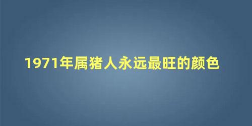 1971年属猪人永远最旺的颜色