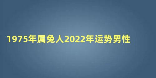 1975年属兔人2022年运势男性