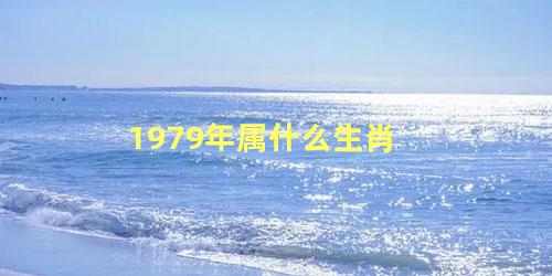 1979年属什么生肖