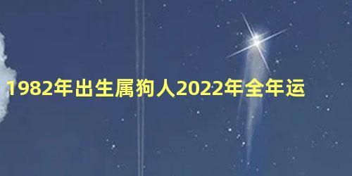 1982年出生属狗人2022年全年运势