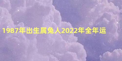 1987年出生属兔人2022年全年运势