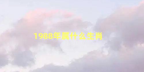 1988年属什么生肖