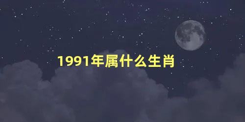 1991年属什么生肖