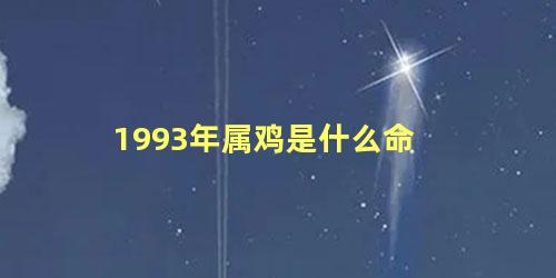 1993年属鸡是什么命