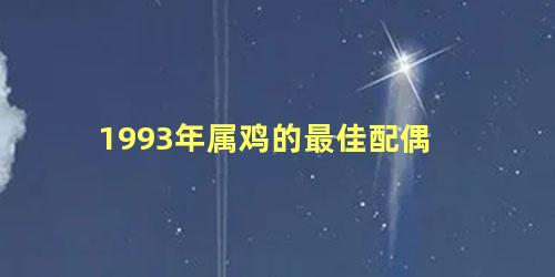 1993年属鸡的最佳配偶