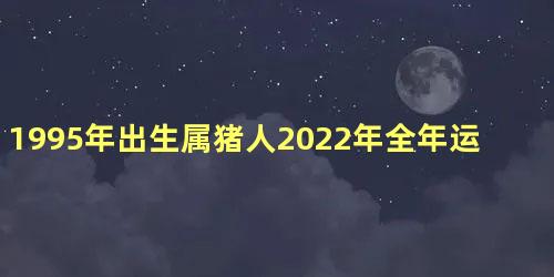 1995年出生属猪人2022年全年运势