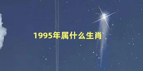 1995年属什么生肖