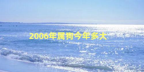 2006年属狗今年多大