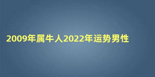 2009年属牛人2022年运势男性