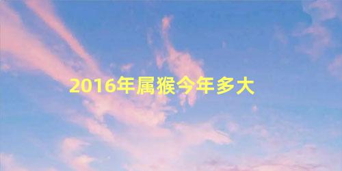 2016年属猴今年多大