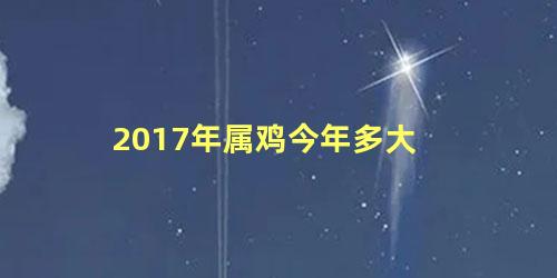 2017年属鸡今年多大