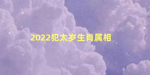 2022犯太岁生肖属相