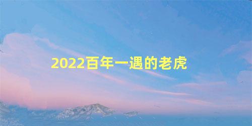 2022百年一遇的老虎