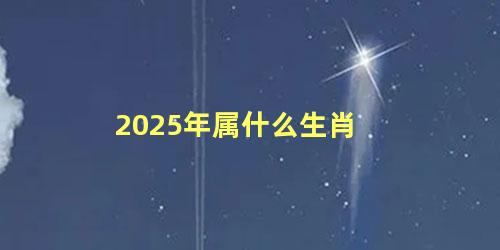 2025年属什么生肖