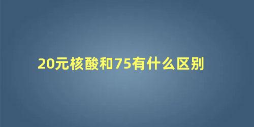 20元核酸和75有什么区别