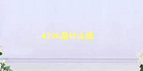 4396是什么梗