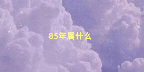 85年属什么