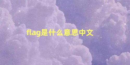 flag是什么意思中文