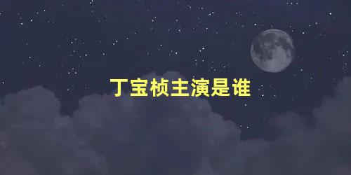 丁宝桢主演是谁