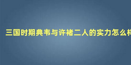 三国时期典韦与许褚二人的实力怎么样