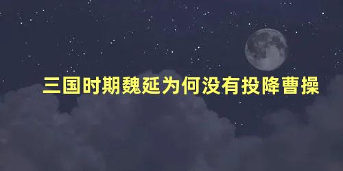 三国时期魏延为何没有投降曹操