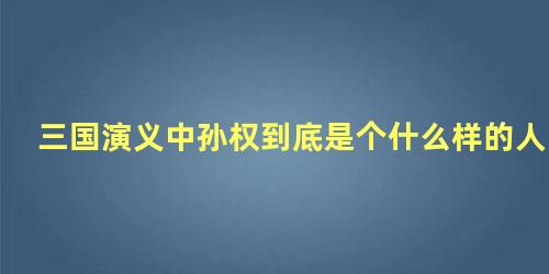 三国演义中孙权到底是个什么样的人