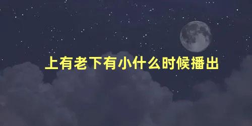 上有老下有小什么时候播出