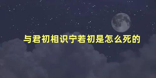 与君初相识宁若初是怎么死的