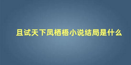 且试天下凤栖梧小说结局是什么