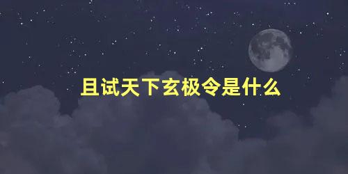 且试天下玄极令是什么