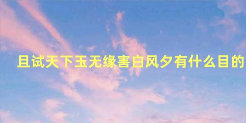 且试天下玉无缘害白风夕有什么目的