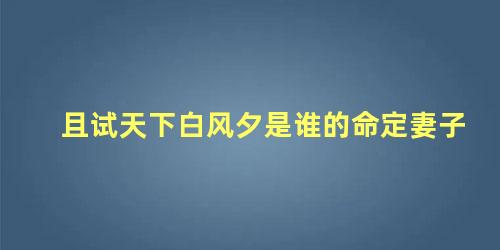 且试天下白风夕是谁的命定妻子