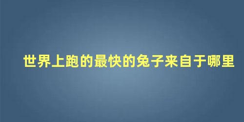 世界上跑的最快的兔子来自于哪里