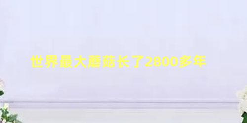 世界最大蘑菇长了2800多年