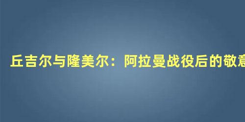 丘吉尔与隆美尔：阿拉曼战役后的敬意