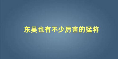 东吴也有不少厉害的猛将