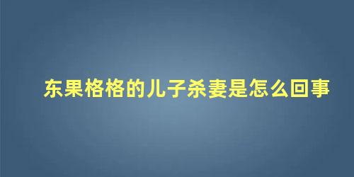 东果格格的儿子杀妻是怎么回事