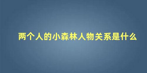 两个人的小森林人物关系是什么