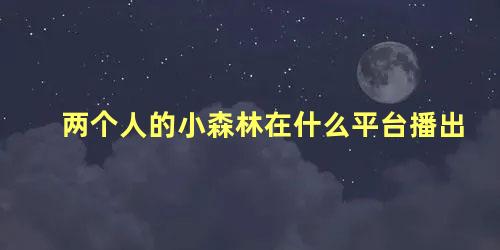 两个人的小森林在什么平台播出