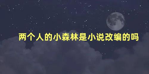 两个人的小森林是小说改编的吗