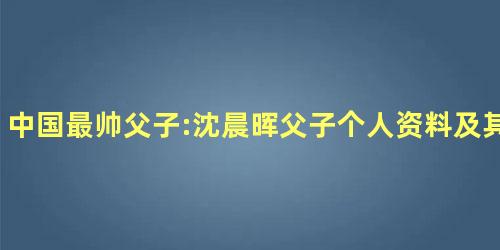 中国最帅父子:沈晨晖父子个人资料及其离婚原因