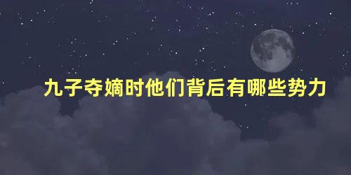 九子夺嫡时他们背后有哪些势力