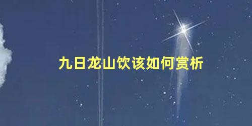 九日龙山饮该如何赏析