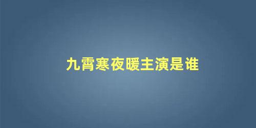 九霄寒夜暖主演是谁