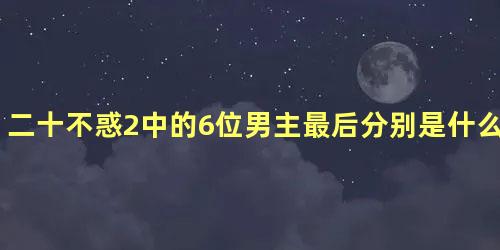 二十不惑2中的6位男主最后分别是什么结局